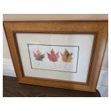 'Sugar Maple' Framed B. Papais Art Print