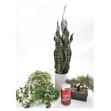 3 plantes artificiellles