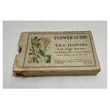 Wild Flowers East of the Rockies Reed 1930