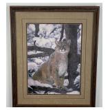 Andrew Warrington Print of Mountain Lion