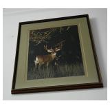 Whitetail Deer Photo by David Langford 1984