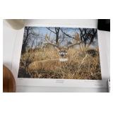 Andrew Warrington Woody Signed and Numbered Print
