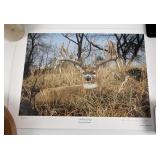 Andrew Warrington Woody Signed and Numbered Print