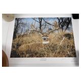 Andrew Warrington Woody Signed and Numbered Print
