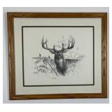 Michael Graham Pencil Drawing of a Whitetail Deer