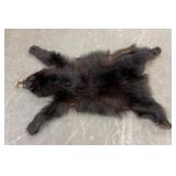Taxidermy Montana Black Bear Hide