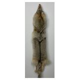 Very Nice Montana Taxidermy Coyote Pelt