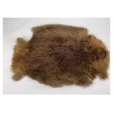 Montana Taxidermy Beaver Pelt