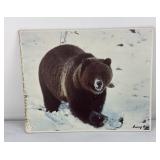 Danny On Montana Grizzly Bear Glacier Photo