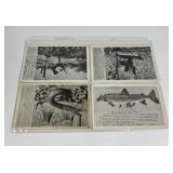 4 Jack Boehme Missoula Montana Postcards