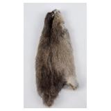Montana Muskrat Taxidermy Fur Pelt Hide