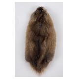 Montana Muskrat Taxidermy Fur Pelt Hide