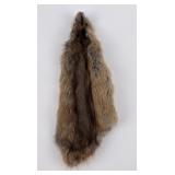 Montana Muskrat Taxidermy Fur Pelt Hide