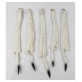 Lot of 5 Wild Tanned Taxidermy Ermine