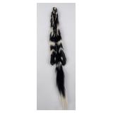 Beautiful Wild Spotted Skunk Fur Pelt Taxidermy