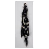 Beautiful Wild Spotted Skunk Fur Pelt Taxidermy