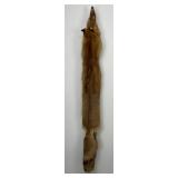 Beautiful Ranch Red Fox Fur Pelt Taxidermy