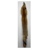 Beautiful Ranch Red Fox Fur Pelt Taxidermy