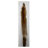 Beautiful Ranch Red Fox Fur Pelt Taxidermy