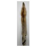 Beautiful Ranch Red Fox Fur Pelt Taxidermy