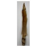 Beautiful Ranch Red Fox Fur Pelt Taxidermy