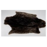 Beautiful Sheared Beaver Fur Pelt Taxidermy