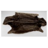 Beautiful Sheared Beaver Fur Pelt Taxidermy