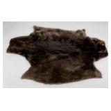 Beautiful Sheared Beaver Fur Pelt Taxidermy