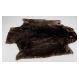 Beautiful Sheared Beaver Fur Pelt Taxidermy