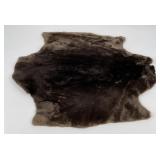 Beautiful Sheared Beaver Fur Pelt Taxidermy