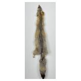 Beautiful Kit Fox Fur Pelt Taxidermy