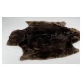 Beautiful Sheared Beaver Fur Pelt Taxidermy