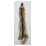 Beautiful Kit Fox Fur Pelt Taxidermy