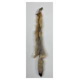Beautiful Kit Fox Fur Pelt Taxidermy