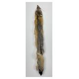 Beautiful Kit Fox Fur Pelt Taxidermy