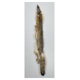 Beautiful Kit Fox Fur Pelt Taxidermy
