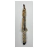 Beautiful Kit Fox Fur Pelt Taxidermy