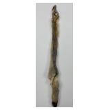 Beautiful Kit Fox Fur Pelt Taxidermy
