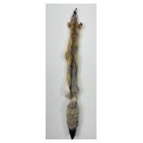 Beautiful Kit Fox Fur Pelt Taxidermy