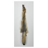 Beautiful Kit Fox Fur Pelt Taxidermy
