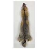Beautiful Kit Fox Fur Pelt Taxidermy