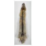 Beautiful Kit Fox Fur Pelt Taxidermy