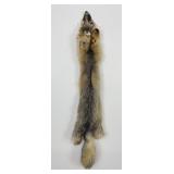 Beautiful Kit Fox Fur Pelt Taxidermy