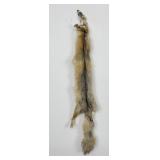 Beautiful Kit Fox Fur Pelt Taxidermy