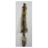 Beautiful Kit Fox Fur Pelt Taxidermy