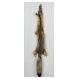 Beautiful Kit Fox Fur Pelt Taxidermy