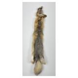 Beautiful Kit Fox Fur Pelt Taxidermy