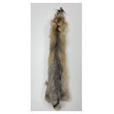 Beautiful Kit Fox Fur Pelt Taxidermy