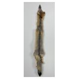Beautiful Kit Fox Fur Pelt Taxidermy