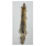 Beautiful Kit Fox Fur Pelt Taxidermy